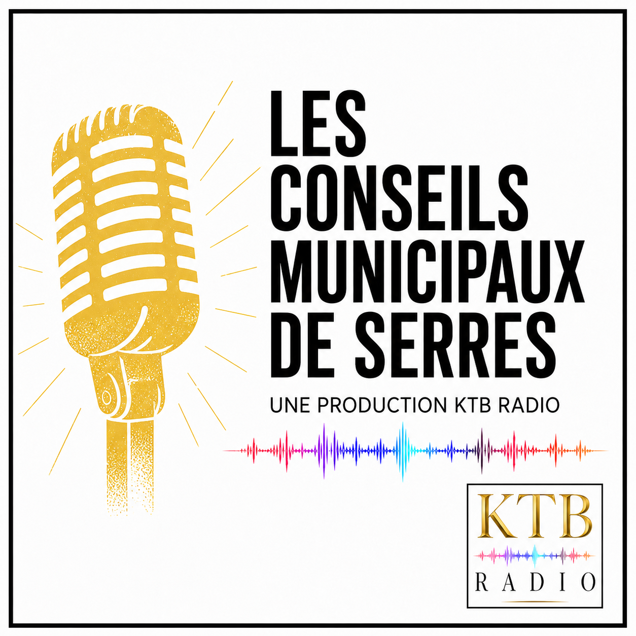 Visuel de Les Conseils municipaux de Serres
